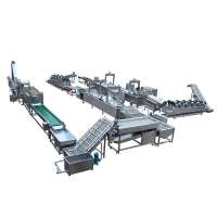 Fried Potato chips production line with best quality and high capacity